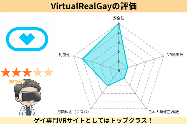 Virtual Real Gayを5段階評価したレーダーチャート
